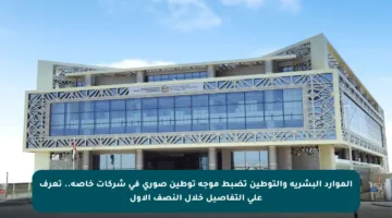 الموارد البشرية والتوطين تضبط موجة توطين صوري في شركات خاصة.. تعرف على التفاصيل خلال النصف الأول